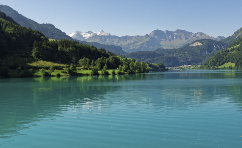 Interlaken Jungfrau Tour 002 copy