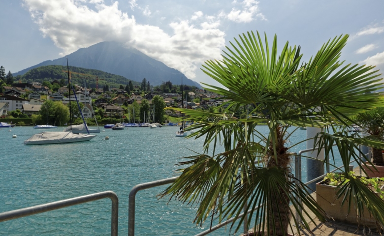 Interlaken Jungfrau Tour 009 copy