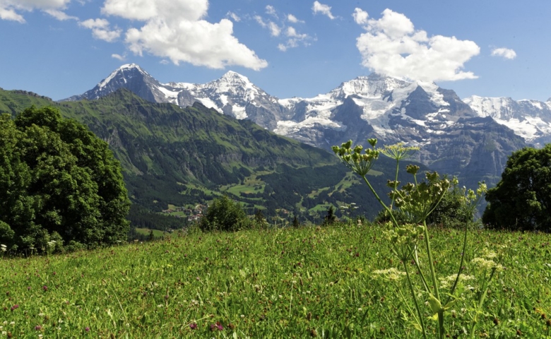 Interlaken Jungfrau Tour 011 copy