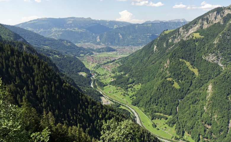 Interlaken Jungfrau Tour 012 copy