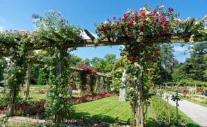 Lindt Chocolate Factory, Rheinfall, Germany tour