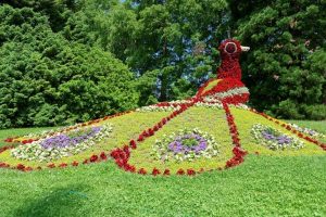 Rheinfall_Mainau2 copy