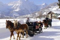 Zurich to Mt. Titlis