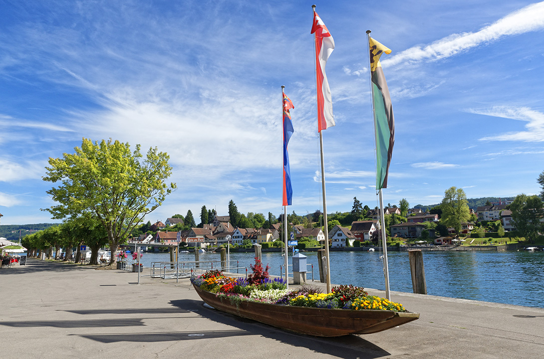 Rhein Falls (15) Rhein Falls 15