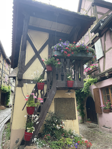 Best Swiss Tours Reviews 24 media thumbnail 0