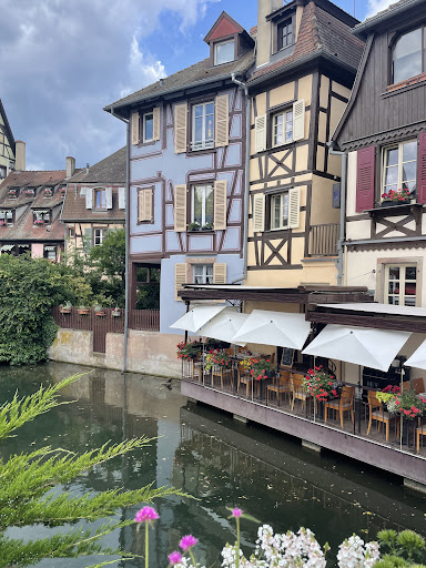 Best Swiss Tours Reviews 26 media thumbnail 2