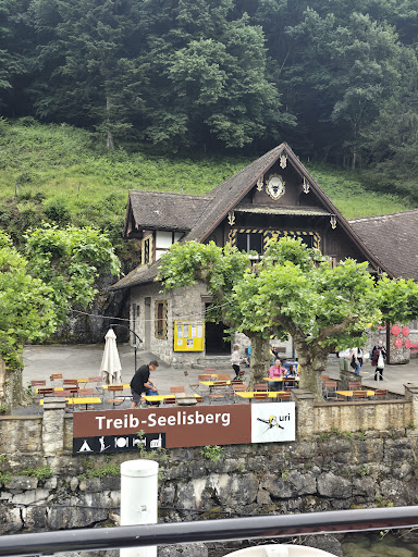 Best Swiss Tours Reviews 43 media thumbnail 2