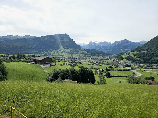 Best Swiss Tours Reviews 45 media thumbnail 4